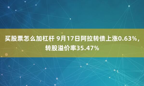 买股票怎么加杠杆 9月17日阿拉转债上涨0.63%，转股溢价率35.47%