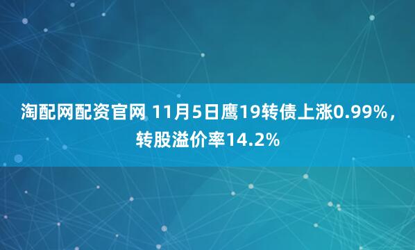 淘配网配资官网 11月5日鹰19转债上涨0.99%，转股溢价率14.2%