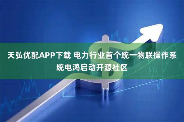 天弘优配APP下载 电力行业首个统一物联操作系统电鸿启动开源社区